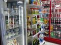 Продуктовый магазин · 76 м² за 7.9 млн ₸ в Астане, Есильский р-н — фото 6