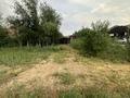 Участок · 8 соток, мкр Мирас за 120 млн ₸ в Шымкенте, Каратауский р-н — фото 11