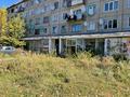 Магазины и бутики · 1067.72 м² за ~ 8 млн ₸ в Алтайском — фото 3