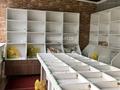 Свободное назначение, магазины и бутики · 26 м² за 200 000 ₸ в Астане — фото 3