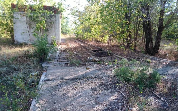 Участок · 3.5 соток, 4 км аулиекольской трассы 1 за 4 млн ₸ в Затобольске (Тобыле) — фото 2
