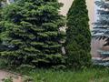 Отдельный дом · 9 комнат · 300 м² · 10 сот., мкр Мамыр-4 218 — Саина и Шаляпина за 1.5 млн ₸ в Алматы, Ауэзовский р-н — фото 9