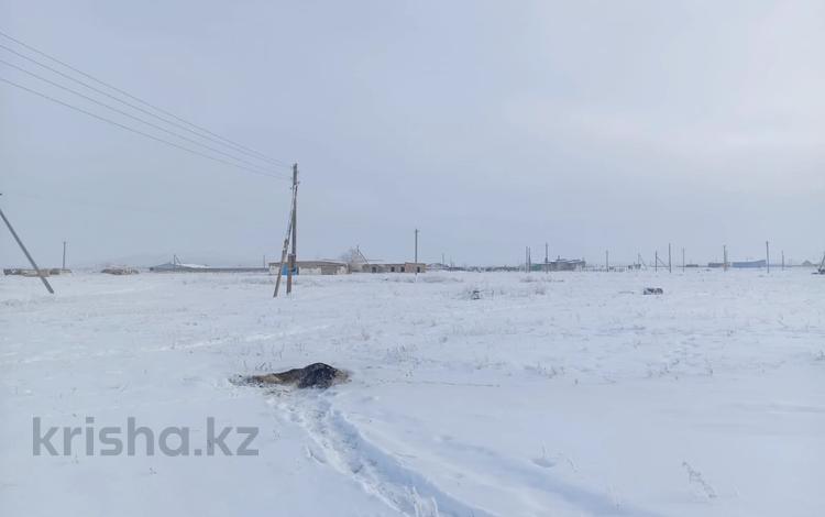 Участок · 40 соток, Село Акжар за 4 млн ₸ в Акмолинской обл. — фото 2