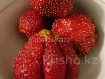 Отдельный дом · 4 комнаты · 53.12 м² · 5.1 сот., Цветочная за ~ 5.3 млн 〒 в Кокшетау