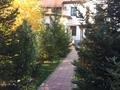 Отдельный дом · 6 комнат · 900 м² · 23 сот., мкр Комсомольский, Мкр Комсомольский-2, Айша биби за 580 млн ₸ в Астане, Есильский р-н — фото 2