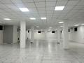Еркін · 1000 м², бағасы: 2.5 млн ₸ в Шымкенте, Енбекшинский р-н — фото 52