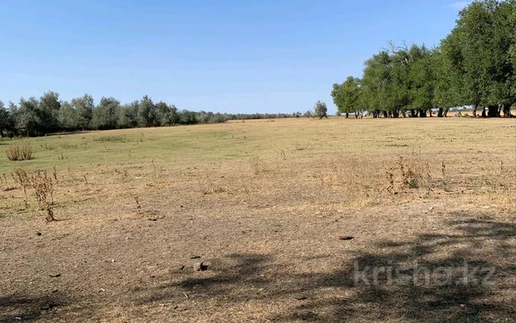 Жер телімі · 2 га, Тереңқара, бағасы: 24 млн ₸ в Теренкаре — фото 2