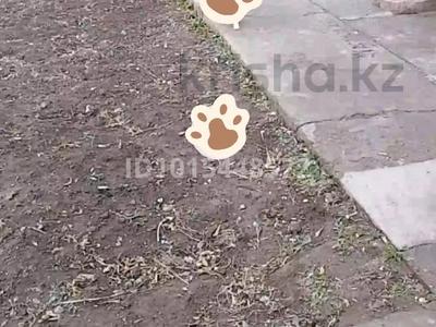 Отдельный дом · 3 комнаты · 65 м² · 7 сот., Восточный левый 522 за 10 млн ₸ в Семее