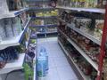 Магазины и бутики · 58 м² за 300 000 ₸ в Астане, Алматы р-н — фото 3