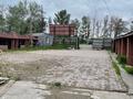 Свободное назначение, магазины и бутики, общепит, развлечения · 489 м² за 1 млн ₸ в Павлодаре — фото 16