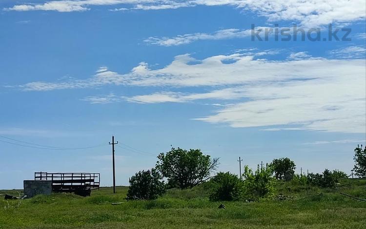 Жер телімі · 14.44 сотық, Бударино, бағасы: 2.8 млн ₸ — фото 8