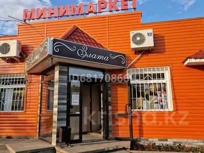 Магазины и бутики • 120 м² за 100 млн 〒 в Павлодаре