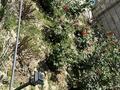 Отдельный дом · 6 комнат · 155 м² · 5.8 сот., 2 линия 24 за 47 млн ₸ в Коянкусе — фото 39