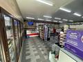 Магазины и бутики • 224 м² за 250 млн 〒 в Туздыбастау (Калинино) — фото 3