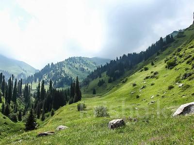 Участок · 60 га, Рыскулово за 1.8 млрд ₸
