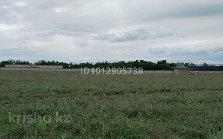 Промбаза · 50 соток, Учетный квартал 636 участок 230/8 за 60 млн ₸ в  — фото 2