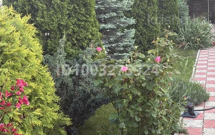 2-бөлмелі пәтер · 35 м² · 1/2 қабат, 19 микрорайон Ботагоз, бағасы: 160 000 ₸ в Конаеве — фото 2