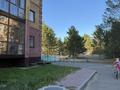 4-бөлмелі пәтер · 91.2 м² · 3/5 қабат, Сеченова 9/8, бағасы: 53.5 млн ₸ в Семее — фото 14