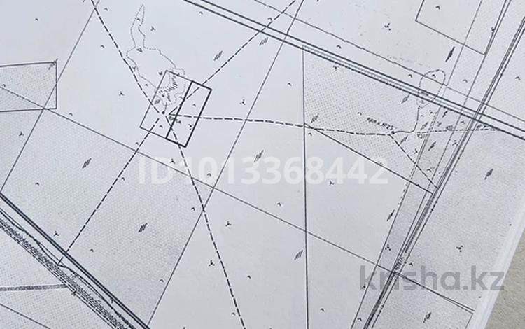 Жер телімі · 30 га, Толқын, бағасы: 65 млн ₸ в Толкыне — фото 5