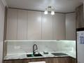 2-комнатная квартира · 49 м² · 12/12 этаж, мкр Туран-2, Туркия 1/10 за 29 млн ₸ в Шымкенте, Каратауский р-н — фото 38