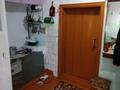Отдельный дом · 2 комнаты · 40 м² · 10 сот., Алимусиных 3 за 25 млн ₸ в Бурабае — фото 3
