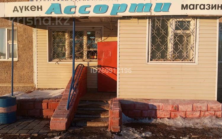 Еркін, дүкендер мен бутиктер · 36 м², бағасы: 16 млн ₸ в Караганде, Алихана Бокейханова р-н — фото 2