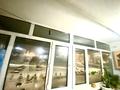 2-бөлмелі пәтер · 49 м² · 4/6 қабат, Н. Назарбаева 2 г — Рынок мечеть новый Хазрет дом с Куполом, бағасы: 150 000 ₸ в Кокшетау — фото 7