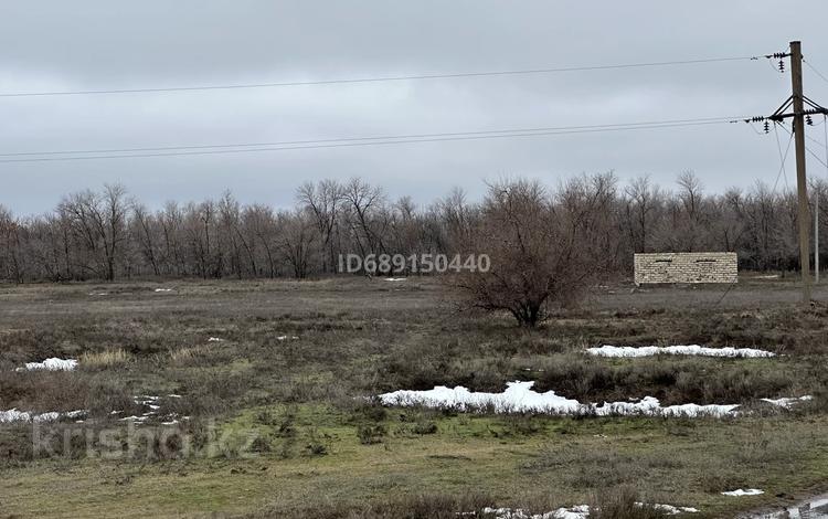 Жер телімі 1 га, Западно-Казахстанская обл., бағасы: ~ 4.3 млн 〒 — фото 4