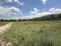 Жер телімі · 1 га, Қырғауылды, бағасы: 87 млн ₸ в Кыргауылдах — фото 8