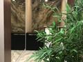 2-комнатная квартира · 52 м² · 7/20 этаж, Гагарина 310 — ТРЦ Мега Алматы за 27 000 ₸ в Бостандыкский р-н — фото 8