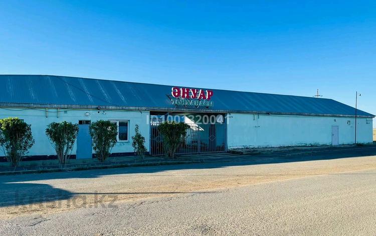 Еркін, қоғамдық тамақтану орны, монша, қонақ үй және демалыс орындары, ойын-сауық · 1561 м², бағасы: 160 млн 〒 в Шубаркудуке — фото 2