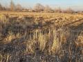 Участок · 15 соток, Кв.Учетный Квартал 003 уч.3561 за 9 млн ₸ в Сарыкемере