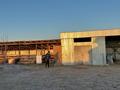 Дача · 6 комнат · 200 м² · 2500 сот., Караул Тобе 1 за 125 млн ₸ в Кызылординской обл. — фото 3