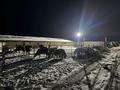 Крестьянское хозяйство · 110000 м² за 32 млн ₸ в Алгабас