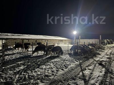 Крестьянское хозяйство · 110000 м² за 32 млн ₸ в Алгабас