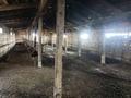 Крестьянское хозяйство · 110000 м² за 32 млн ₸ в Алгабас — фото 7