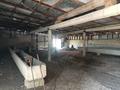 Крестьянское хозяйство · 110000 м² за 32 млн ₸ в Алгабас — фото 8