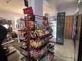 Магазины и бутики, общепит, салоны красоты, образование, развлечения · 290 м² за 162 млн ₸ в Алматы, Наурызбайский р-н — фото 3