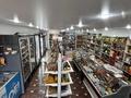 Магазины и бутики · 80 м² за 500 000 ₸ в Астане, Сарайшык р-н — фото 10
