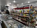 Магазины и бутики · 80 м² за 500 000 ₸ в Астане, Сарайшык р-н — фото 12