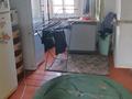 Отдельный дом · 4 комнаты · 70 м² · 8 сот., Толстого 50 — Баизакова за 49 млн ₸ в Павлодаре — фото 15