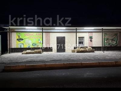 Магазины и бутики · 100 м² за 19 млн 〒 в Сарыкемере