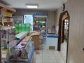 Дүкендер мен бутиктер · 151 м², бағасы: 109 млн 〒 в Уральске — фото 7