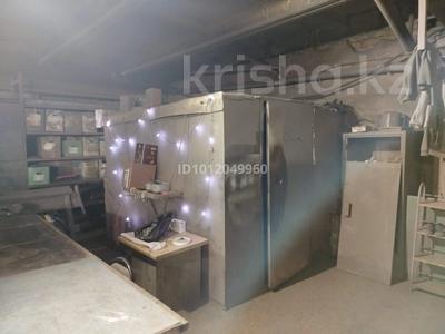 Бизнес по полимерной покраске! · 100 м², бағасы: 6.3 млн ₸ в Астане, р-н Байконур