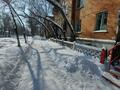 Готовый бизнес · 85.4 м², бағасы: 25 млн ₸ в Усть-Каменогорске — фото 17