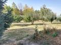 Отдельный дом · 4 комнаты · 250 м² · 20 сот., мкр Ерменсай за 900 000 ₸ в Алматы, Бостандыкский р-н — фото 16
