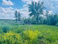 Жер телімі · 8.9 сотық, Қостанай, бағасы: 10 млн ₸ в Костанае — фото 3