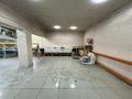 Помещение под офис, магазин и кафе, 1660 м² за 260 млн 〒 в Семее — фото 34