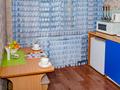 1-комнатная квартира, 33 м², 4/5 этаж посуточно, Интернациональная за 9 000 〒 в Петропавловске — фото 8