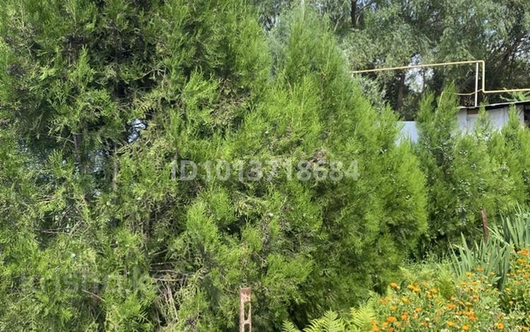 Отдельный дом · 3 комнаты · 100 м² · 10 сот., Желтоксан 87 за 27 млн ₸ в Батане — фото 2